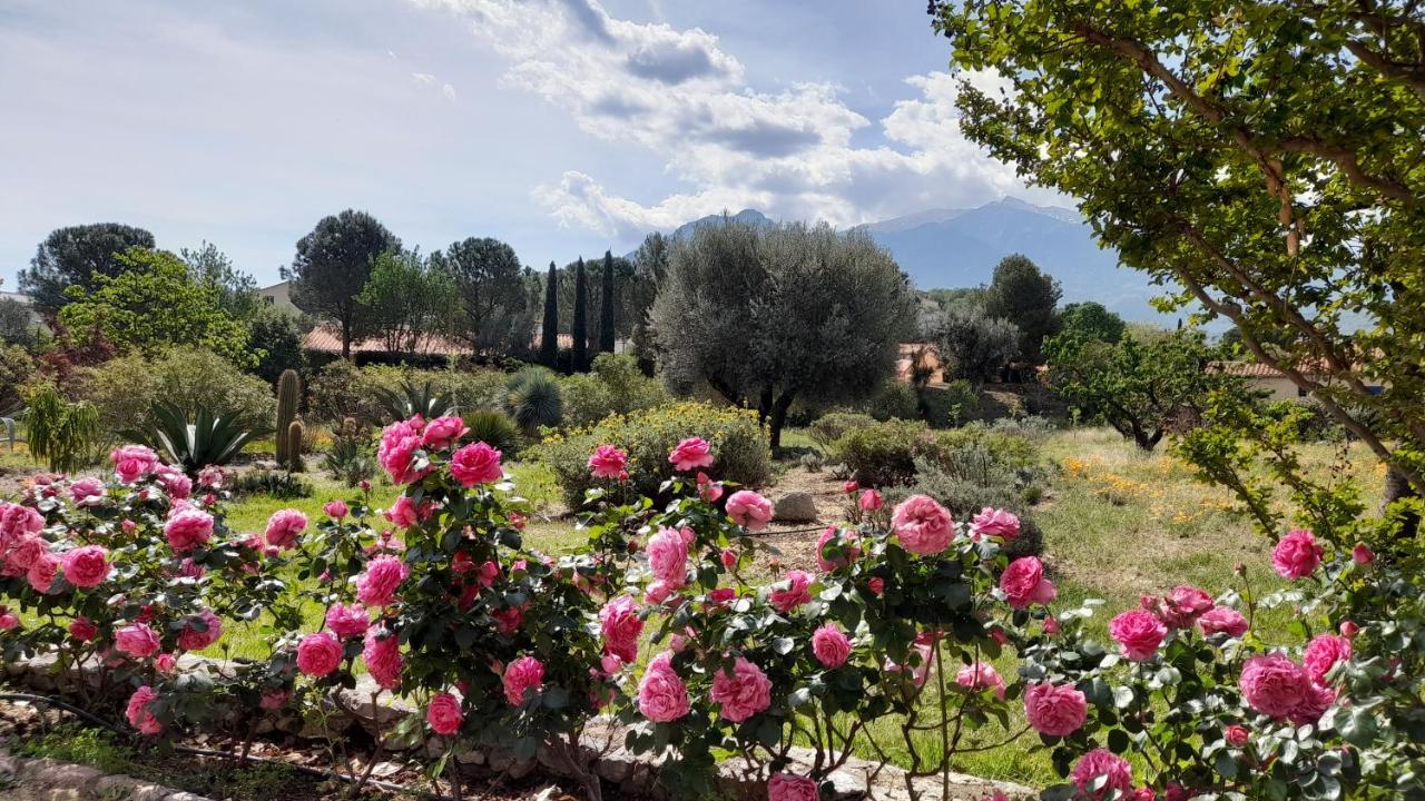 Bed & Breakfast Castell Rose Prades (Pyrenees-Orientales)