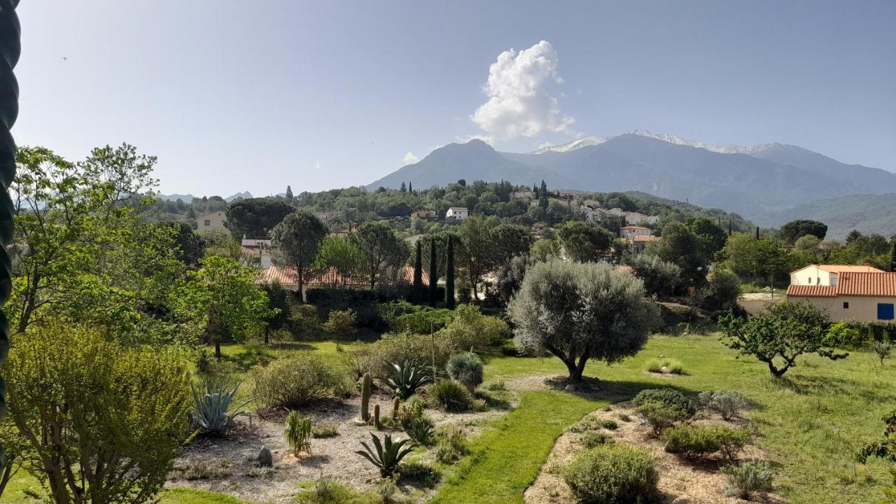Castell Rose Bed & Breakfast